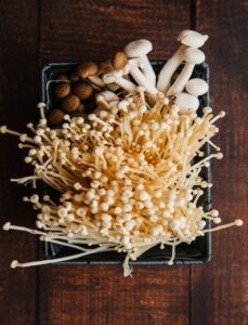 Using functional and microdose mushrooms to unlock holistic wellness