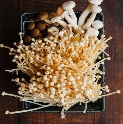 Using functional and microdose mushrooms to unlock holistic wellness