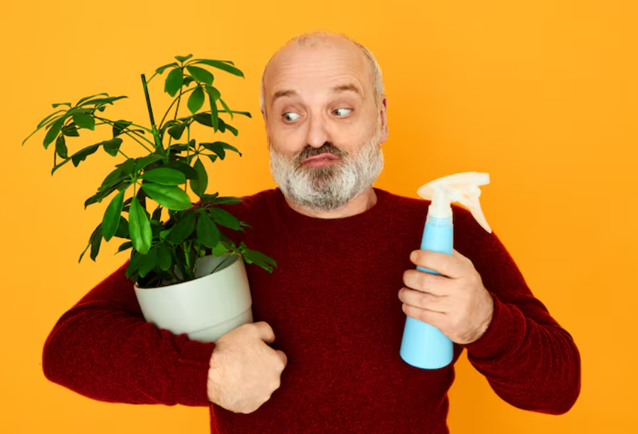 Was dich beim Anbau von 420 fast buds erwartet