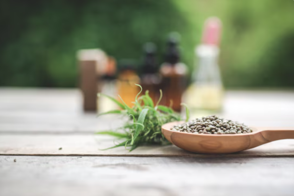 Kenevir tohumu satın al: A calm, practical way to choose seeds you will not regret